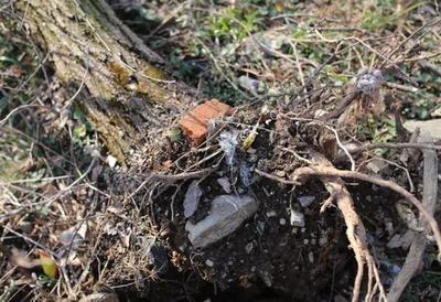 “亚洲第一采坑”绿色救赎 破除资源的“诅咒”