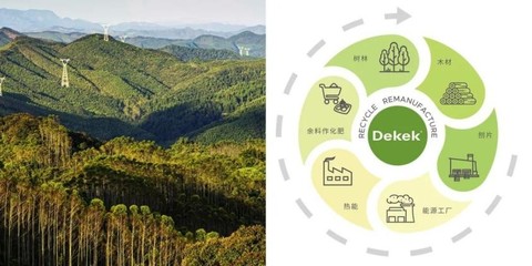 刨花板渐成国内人造板主流趋势,领军品牌德科康赋能行业新发展