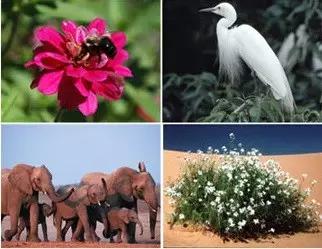 从一粒种子探秘亚洲最大生物资源库!5·22国际生物多样性日