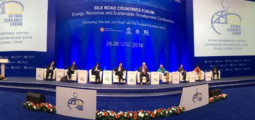 蓝迪国际智库出席博鳌亚洲论坛能源资源与可持续发展会议暨丝绸之路国家论坛