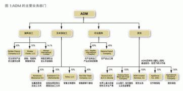 新财富杂志检索