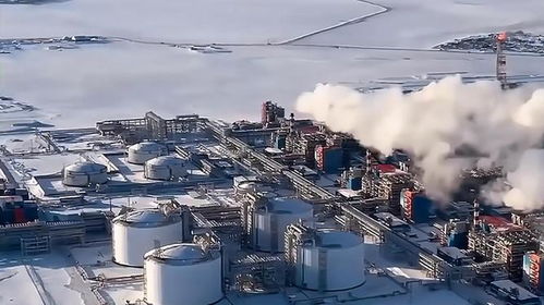 大鹅能源出口转向亚洲 经济命脉的新挑战与西方制裁的阴影