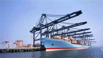 柬埔寨西港 海的那边,一个土豪城市正在崛起