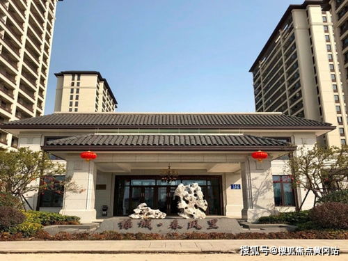 绿城春风十里 采光好,日照时间长,可以节约资源 梅花洲