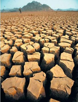 优化水资源 改变城市生活_新浪汽车_新浪网