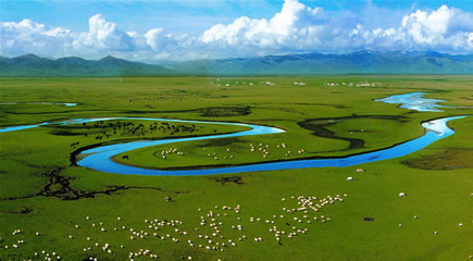 湿地生态系统的重要作用