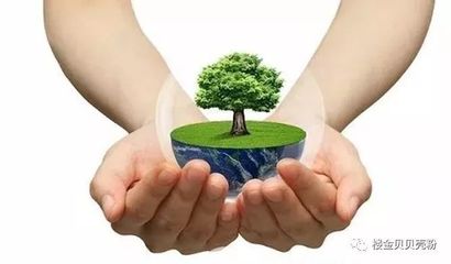 楼金贝贝壳粉已经驰骋墙面,你却还停留在乳胶漆时代?