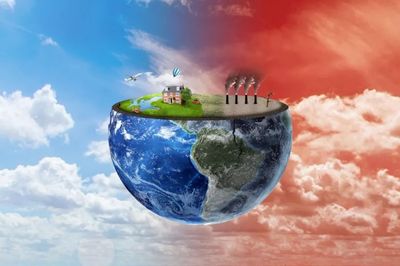 成为纯素者的20个重要原因!