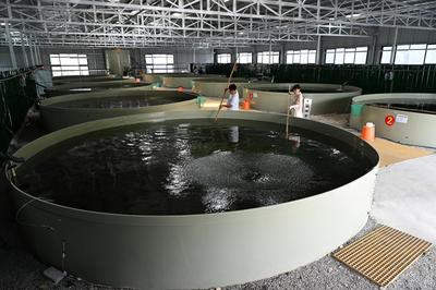 听两山回响,看碧水石台