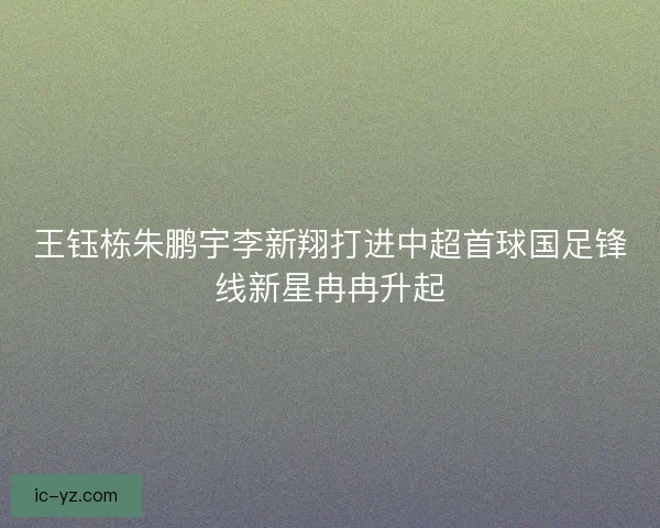 王钰栋朱鹏宇李新翔打进中超首球国足锋线新星冉冉升起