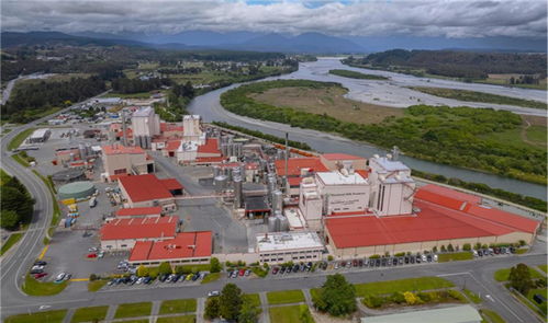 架起中澳合作 乳业桥梁 伊利出席中澳工商界首席执行官圆桌会