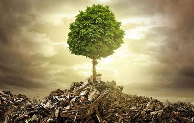 垃圾回收催生新职业 别因旧眼光错过新风口