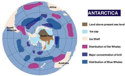 南极的资源分配