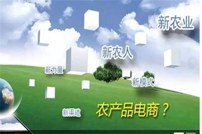 加快农业信息化建设，拓展农产品营销新渠道